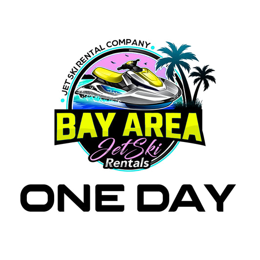 One day Rental